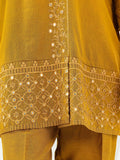 raw-silk-co-ord-set-embroidered-(pret)