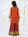 2-piece-organza-suit-embroidered