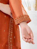 2-piece-organza-suit-embroidered