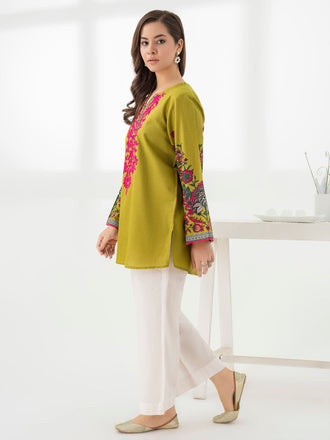 cambric-kurti-embroidered-(pret)