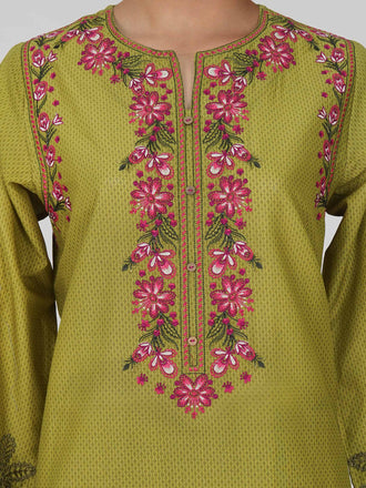 3-piece-lawn-suit--embroidered-(pret)