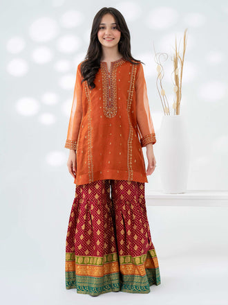 2-piece-organza-suit-embroidered