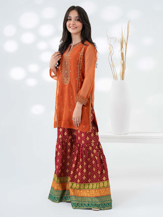 2-piece-organza-suit-embroidered