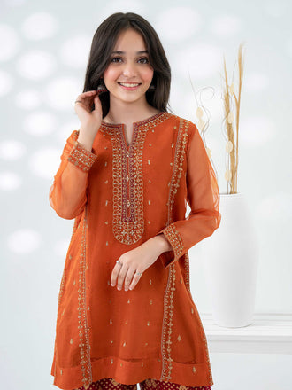 2-piece-organza-suit-embroidered