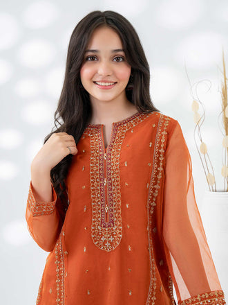 2-piece-organza-suit-embroidered