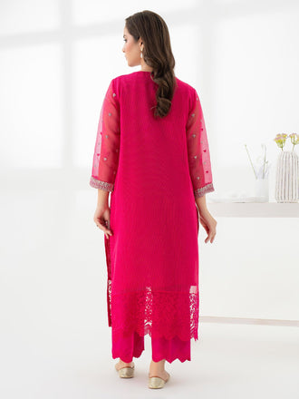 2-piece-net-suit-embroidered-(pret)