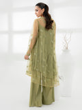 2-piece-net-suit-embroidered-(pret)