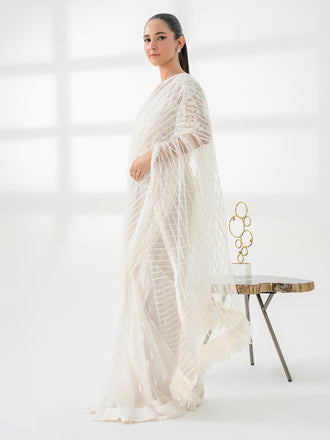 net-saree-embroidered-(pret)