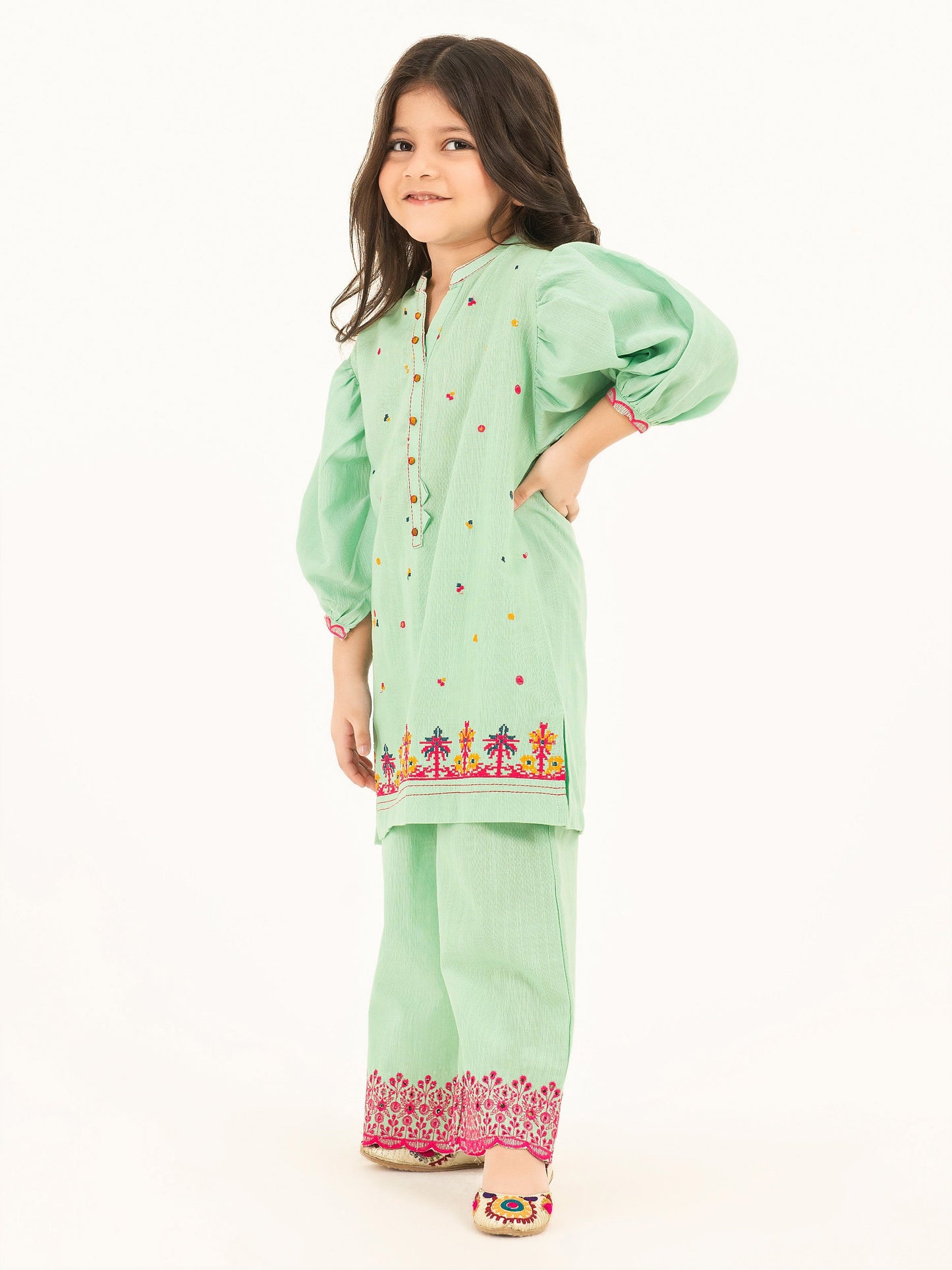 2 Piece Khaddar Suit-Embroidered (Pret)